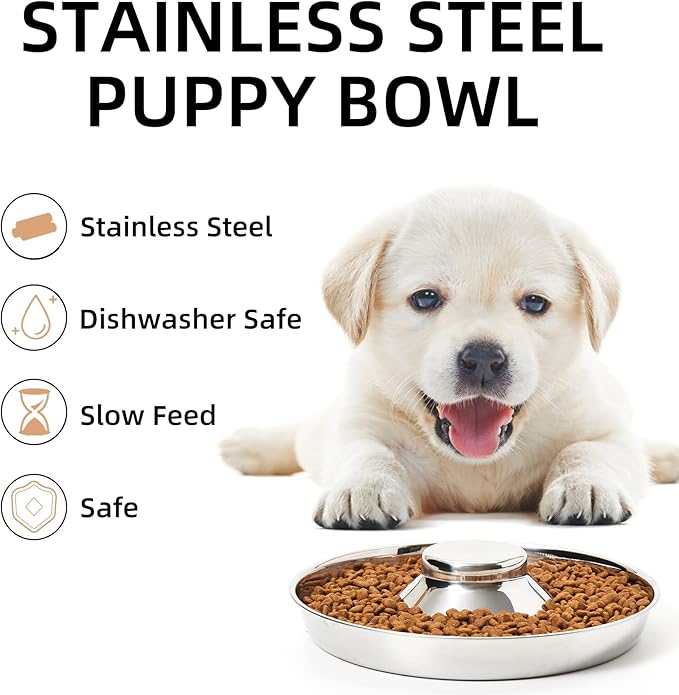 Stainless Steel Puppy Bowls, Set of 2 Puppy Feeder, Dog Food and Water Bowl, Food Feeding Weaning for Small Medium Large Dogs, Pets, S
