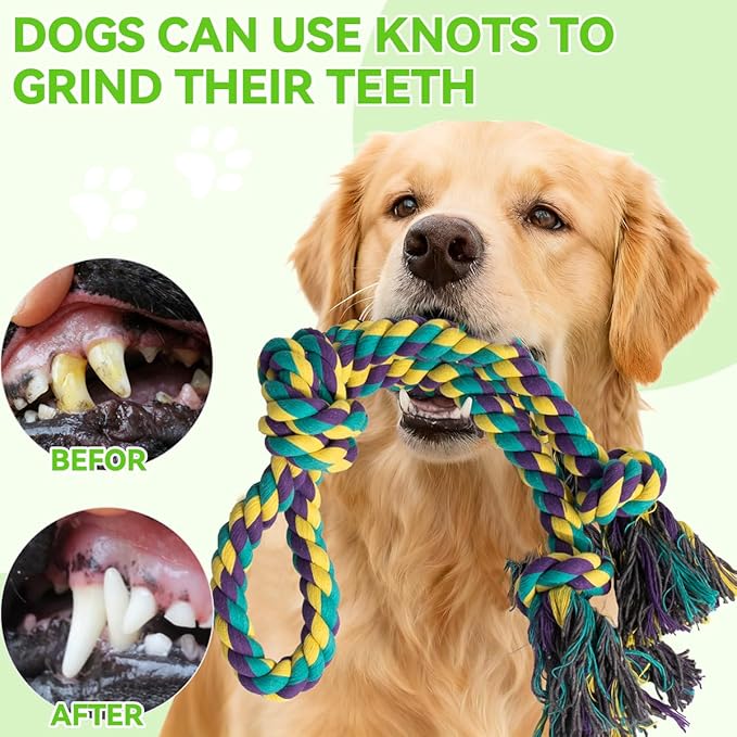 Tether Tug Outdoor Dog Toy for Aggressive Chewers: Durable Rope Toy for Large Breed Dogs - Interactive Backyard Pulling & Exercise Gym with Bungee Spring