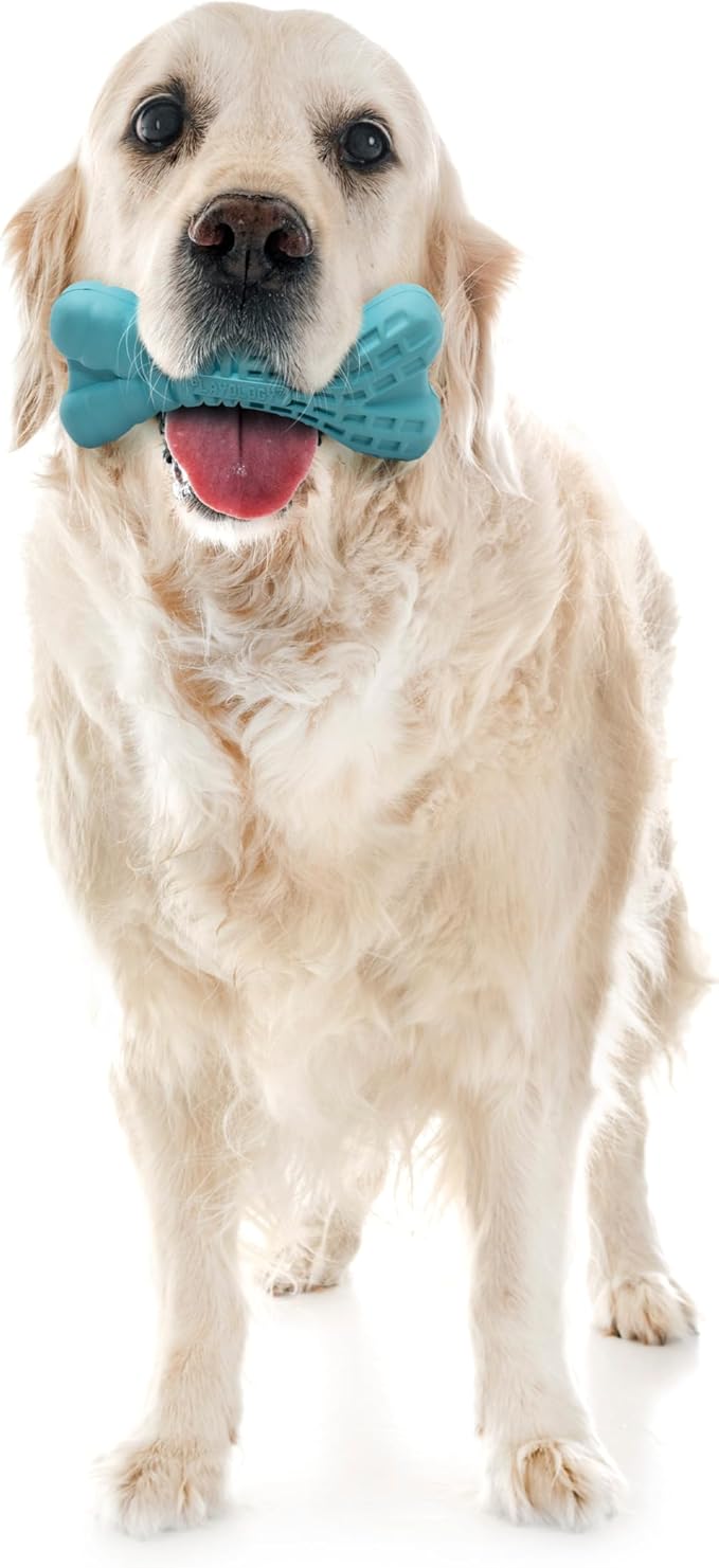 Playology Dog Toys | Dental Chew Bone Gentle on Gums | Jumbo Peanut Butter Scented Toy - Easy to Clean and Made from Non Toxic Materials