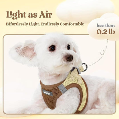 rabbitgoo Dog Harness Small Sized and Leash Set, Step in Soft Light Puppy Vest, Breathable Mesh Pet Harness, Reflective for Safe Easy Walking, Brown & Beige S