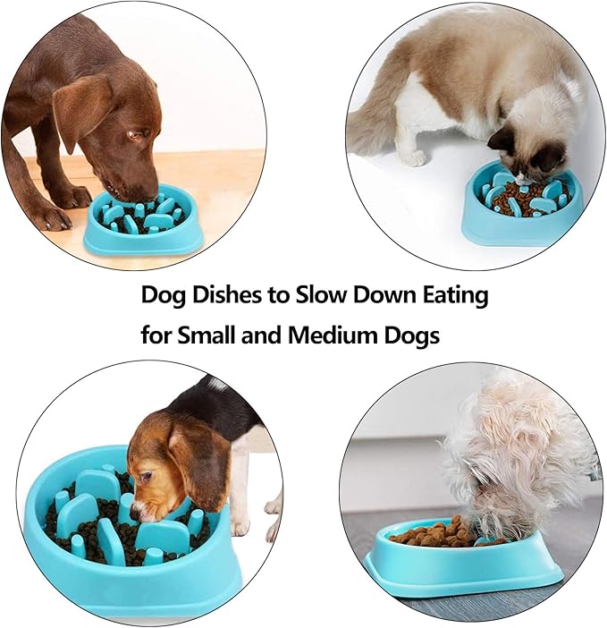 Slow Feeder Dog Bowl, Dog Bowl Slow Eating,Small Dog Feeder Slow,Dog Dishes to Slow Down Eating for Small and Medium Dogs (Red)