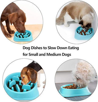 Slow Feeder Dog Bowl, Dog Bowl Slow Eating,Small Dog Feeder Slow,Dog Dishes to Slow Down Eating for Small and Medium Dogs (Green3)