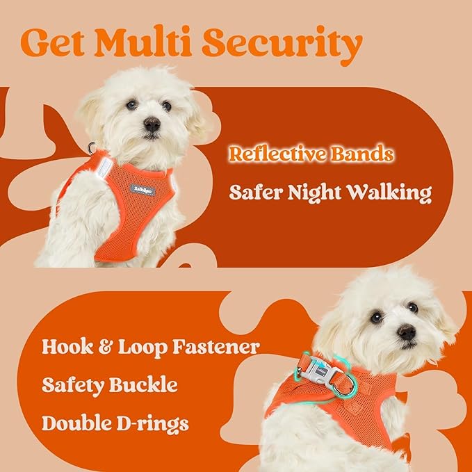 rabbitgoo Small Dog Harness, Step-in Soft Mesh Puppy Vest with Safety Buckle, Breathable Reflective Pet Harness for Small Sized Dogs, Orange S