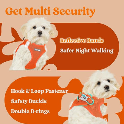 rabbitgoo Small Dog Harness, Step-in Soft Mesh Puppy Vest with Safety Buckle, Breathable Reflective Pet Harness for Small Sized Dogs, Orange S