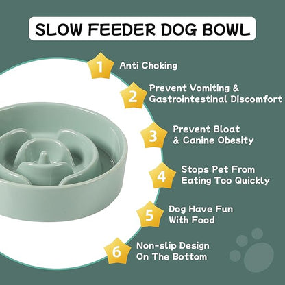 Ceramic 0.9 Cup Dog Bowl Slow Feeder for Small Dog, 6.1inch Pet Puzzle Slow Feeder, Stop Bloat, Preventing Choking(1 Bowl-Light Green)