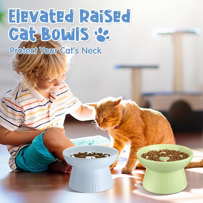 Tioncy 2 Pcs Raised Cat Slow Feeder Bowl Ceramic Elevated Cat Dog Food Bowl No Spill High Edge for Dry Wet Food and Water Easy to Clean, Dishwasher Safe (Green,Blue)