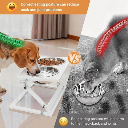 Elevated Dog Bowls for Large Medium Dogs, 3 Heights Adjustable Raised Dog Bowl Stand with 2 Stainless Steel Food Bowls 20°Tilted Elevated Easy to Clean Water Bowl (White, Large)