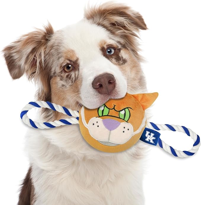 Pets First NCAA Kentucky Wildcats Nylon Mascot Dog Toy with Tough Dog Ropes & Inner Squeaker in Bright Team Colors