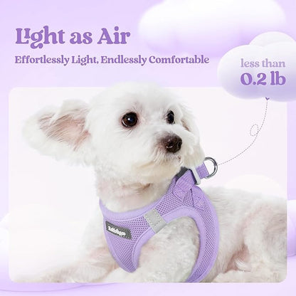 rabbitgoo Dog Harness Small Medium Sized and Leash Set, Step in Soft Light Puppy Vest, Breathable Mesh Pet Harness, Reflective for Safe Easy Walking, Light Purple XL