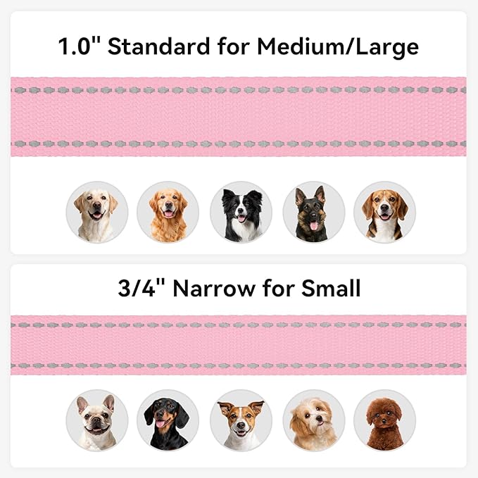 Joytale Dog Leash, 6 FT Double-Sided Reflective, Padded Handle Nylon Heavy Duty Leashes for Small Dogs Walking, Pink