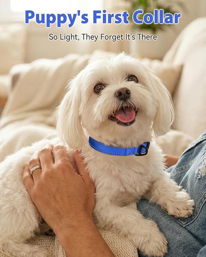 Joytale Dog Collars for Small Dogs, Feather-Light Double-Sided Reflective Nylon Collar for Night Safety, Adjustable Quick-Release for Growing Puppies, Navy Blue, S (5/8" Width)
