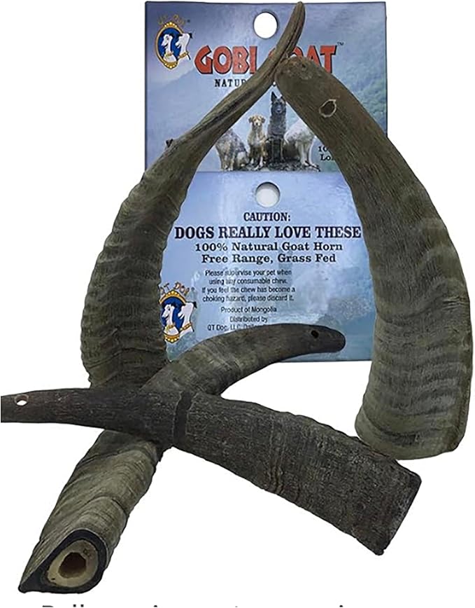 QT Dog Small Gobi Goat Horn (Pack of 4) - Long-Lasting 100% All-Natural Dog Chew, Ethically Sources Protein-Packed & Low Fat Dental Chews, Ideal for All Breeds & Aggressive Chewers