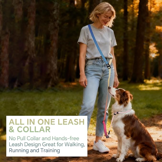 QQPETS Adjustable Slip Lead Dog Leash, Hands Free Waist Leash for Dog Walking, Reflective Training Lead with 360° Swivel Anti-Tangle, 4-7 ft Length for All Breeds