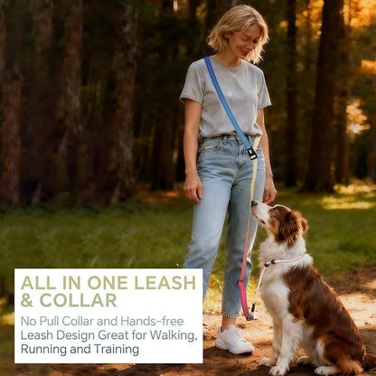 QQPETS Adjustable Slip Lead Dog Leash, Hands Free Waist Leash for Dog Walking, Reflective Training Lead with 360° Swivel Anti-Tangle, 4-7 ft Length for All Breeds