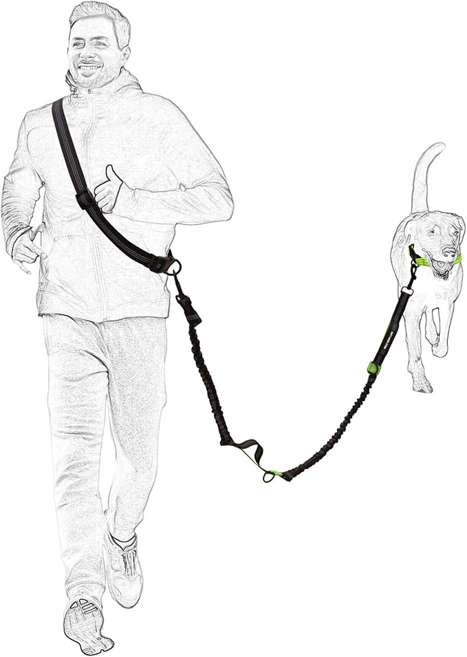 Mile High Life Hands Free Waist Leash for Dog Running Training and Jogging, Adjustable Belt with Double Handle, Reflective Bungee for Medium Large Dogs (Blue, 7FT)