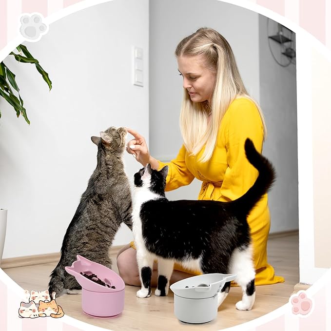 2 Pack Silicone Cat Slow Feeder, Elevated Slow Feeder Cat Bowl for Dry and Wet Food, Tilted Design with Non Slip Base, Adjustable Angle for Pet(Gray and Pink)