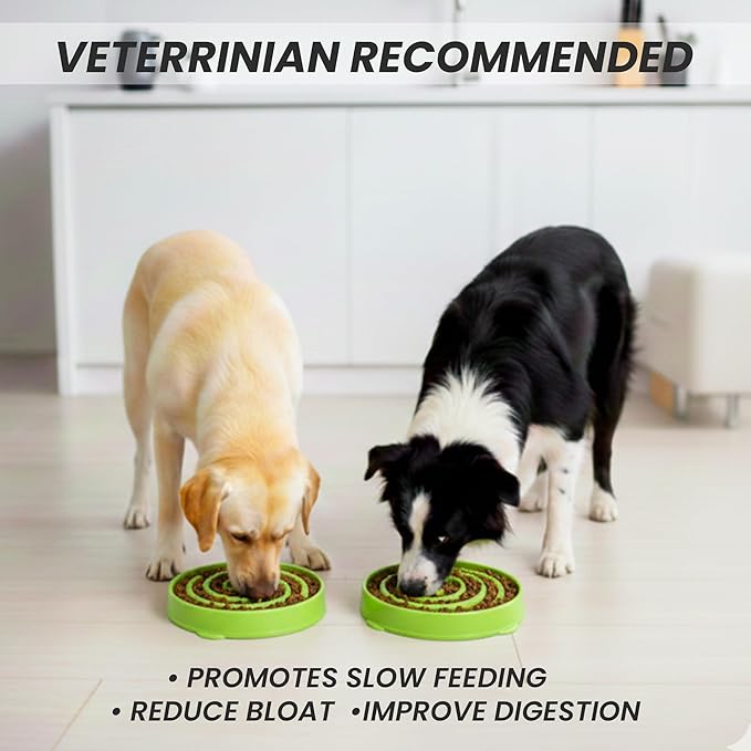Slow Feeder Dog Bowl for Small, Medium & Large Dogs – Anti-Gulping Puzzle Maze Bowl, Non-Slip Slow Eating Dog Dish, Prevents Bloat & Improves Digestion, Interactive Pet Feeder (Green, Large)