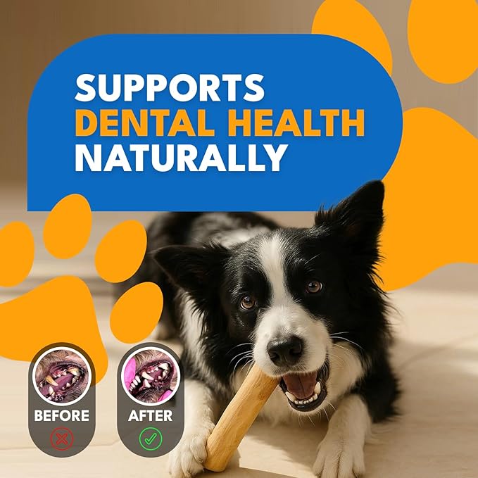 Set 3 of Coffee Wood Dog Chew Toy – Coffee Chew Stick for Small Dogs - Teeth Cleaning & Stress Relief – Safe, Durable & Eco-Friendly Dog Chew Toy (Small - Under 32 lbs)
