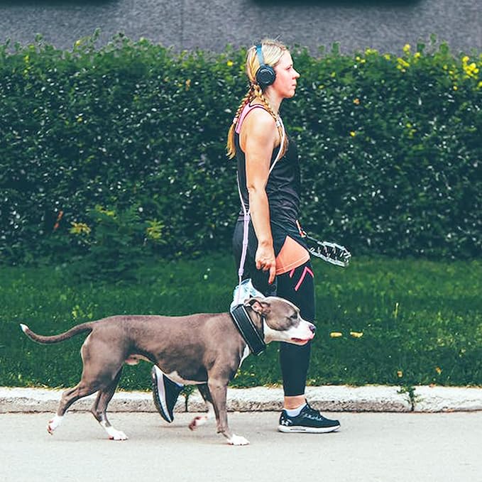 Hands Free Dog Leash Crossbody & Waist for Walking, 9-in-1 No Pull Dog Harness & Leash Set, Heavy Duty Waterproof Slip Lead for Large Medium Breeds (20-120lb, Purple)