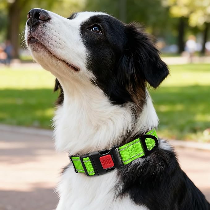 Taglory Reflective Dog Collar with Safety Locking Buckle, Soft Neoprene Padded Dog Collar for Medium Dogs, Metal D-Ring, Adjustable Nylon Neck Strap for Daily Walking, Training & Running, Green, M