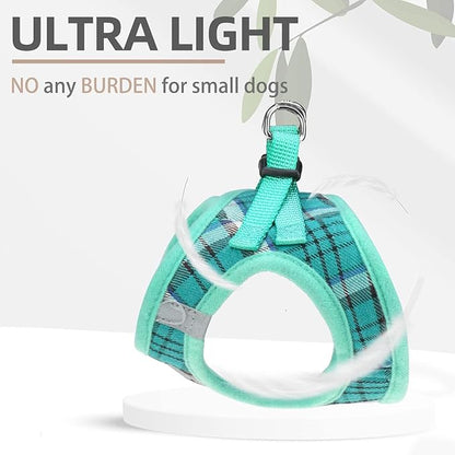 PUPTECK Adjustable Dog Harness Collar and Leash Set Step in No Pull Pet Harness for Small Medium Dogs Puppy and Cats Outdoor Walking Running, Soft Mesh Padded Reflective Vest Harnesses, Lake Green M