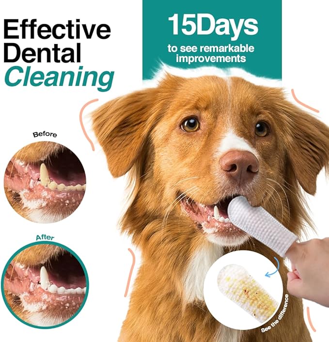 Pack of 90 Dog Teeth Cleaning Wipes - No-Rinse Dog Toothbrush & Effective Dog Dental Wipes (1.65 in x 3.15 in)