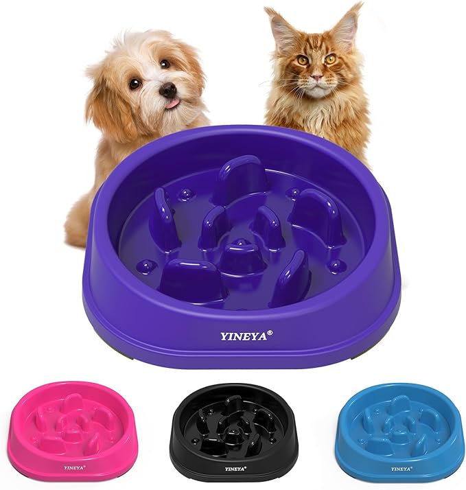 Anti-Choking Slow Feeder Dog Bowls Small Size Dog, Slow Feeder Cat Bowl, Supplies and Puzzle for Pet