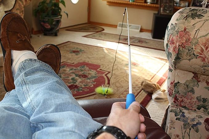 Pet Fit For Life - Retractable Feather Wand for Cats - Durable Interactive Cat Toy, Teaser Fishing Pole with Feather Lures - Fun Kitten Play Wand, 2 Feathers with String and Flying Fish Attachment