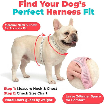 Best Pet Supplies Voyager Step-in Air Harness - All Weather Mesh, Reflective, No Pull Harness for Dogs, Cats - Secure with Hook & Loop Fastener, Buckle, Double D-Rings - Khaki, XXXS