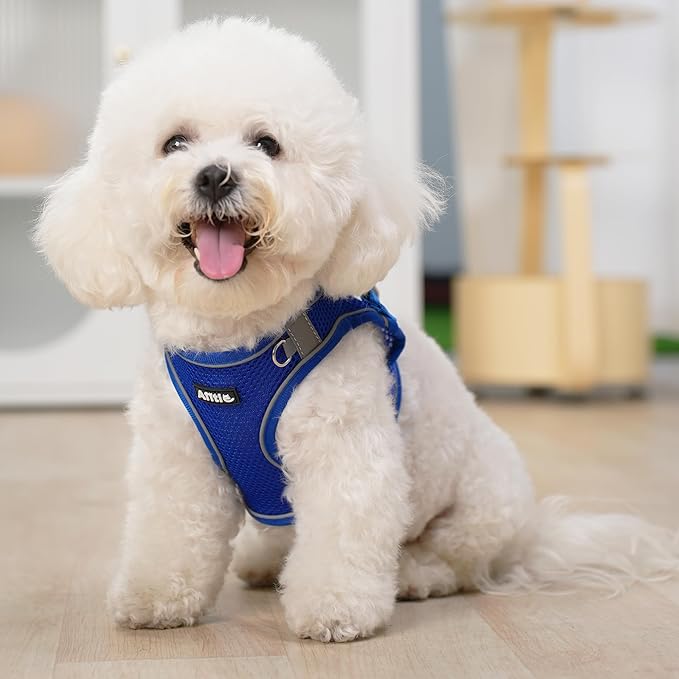 AIITLE No Pull Dog Harness and Leash Set, Step in Adjustable Dog Harness with Padded Vest for All Weather, Dog Leash with Soft Padded Handle, Easy to Put on Small and Medium Dogs Royal Blue S