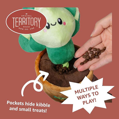 Territory Interactive Play Plush Treat-and-Tug Reward Toy for Dogs, Lettuce