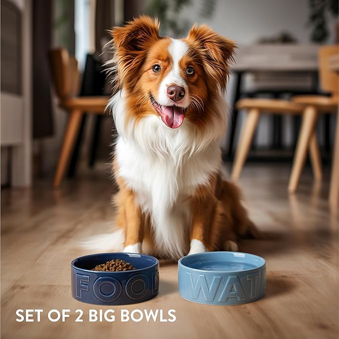 Navaris Dog Food and Water Bowl Set - 16 cm (6.3") Ceramic Bowls for Medium and Large Dogs or Big Cats - 700 ml (23.7 oz) Feeding Dish - Light Blue/Dark Blue