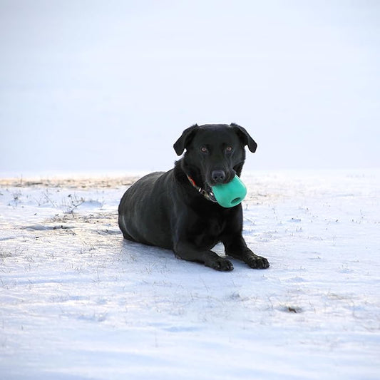 Chew King by Mammoth Premium Treat Dispensing Dog Toy, Durable Natural Rubber Chew Toy, Safety Air Vent, Interactive Enrichment Toy for Aggressive Chewers, XXL - Teal
