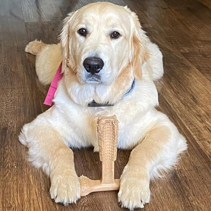SPOT by Ethical Products 4 in Bambone Plus Easy Grip Peanut Butter, Beef & Chicken Dog Chew Bundle - Bamboo & Nylon Anti Anxiety Bone for Aggressive Chewers & Dental Health for Dogs - Large (3 Pack)