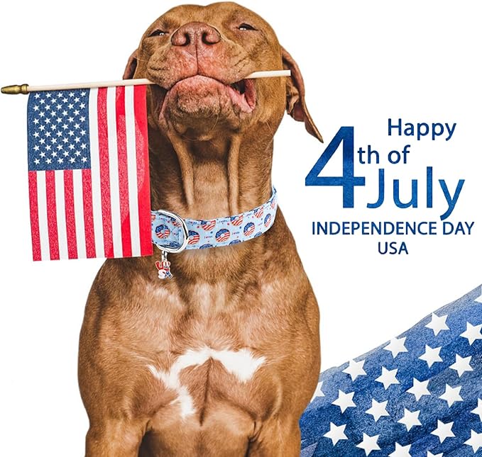 Faygarsle Patriotic Dog Collar, 4th of July Design, American Flag Pattern, Light Blue Summer Design for Small Medium Large Dogs M