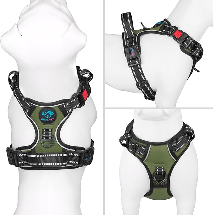 PHOEPET No Pull Dog Harness with Handle Front & Back Clip, Easy on Lockable Snap Buckle at Neck, Adjustable Reflective Vest with Handle for Small Medium Large Dogs (XS, Misty Green)