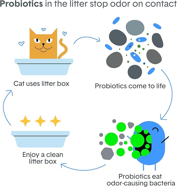 Boxie Probiotic Cat Litter, 40 Day Odor Control, Clumping Clay Kitty Litter, Odor Eliminating Probiotics, Dust-Free, No Fragrances No Fillers, 28 lb