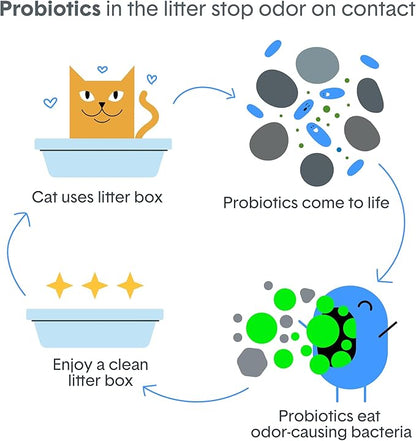 Boxie Probiotic Cat Litter, 40 Day Odor Control, Clumping Clay Kitty Litter, Odor Eliminating Probiotics, Dust-Free, No Fragrances No Fillers, 16 lb