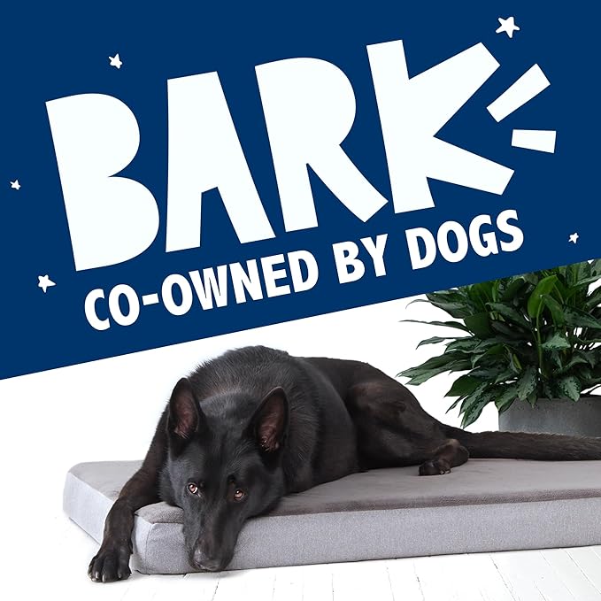 Barkbox Orthopedic Dog Bed with Memory Foam, Premium Comfort for Dogs and Puppies, Dog Bed for Joint Relief and Restful Sleep, Durable and Easy to Clean - Grey, XXL