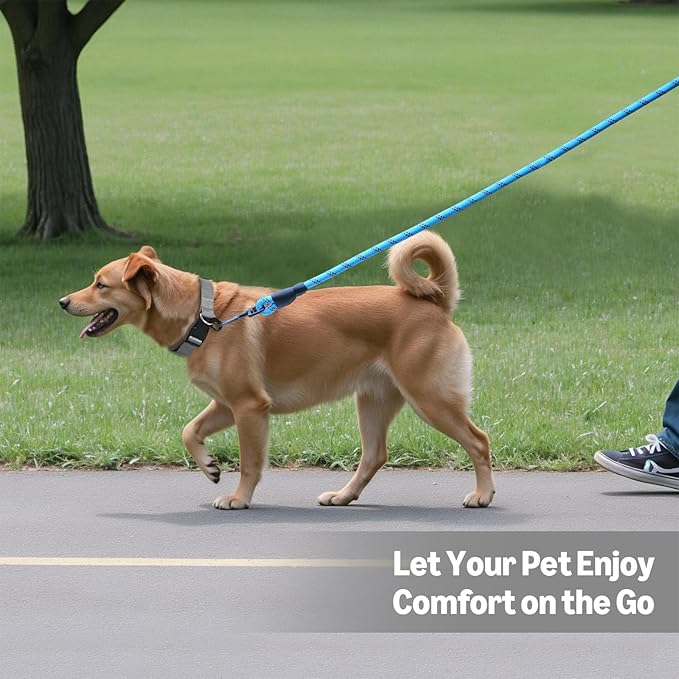 Amazon Basics Round Dog Leash, Heavy Duty, Durable Rope for Small, Medium, and Large Dogs, Lightweight Design for Walking, Training, and Outdoor Activities, Blue, 4 Ft