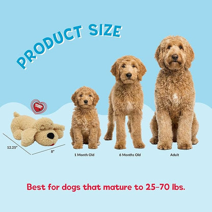 Snuggle Puppy Heartbeat Dog Toy for Puppies, Real-Feel Heartbeat, Calming Sleep Aid and Crate Training Comfort Toy with Heat Pack, Medium Breed Buddies Doodle Appearance (Goldendoodle, Poodle Mix)