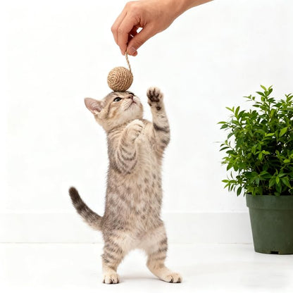 1.7in Cat Toy Ball Sisal Rope Wrapping Cat Rope Ball,2pcs