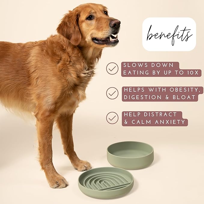 Should We Go? Slow Feeder for Dogs & Puppies, The Slowdown Bowl Silicone Slow Eating, Modern Lick Mat Design, Reduces Gulping, Fits 2.5 Cups 9.5” Across x 1.5” Tall, Mealtime Challenge, Large-Charcoal