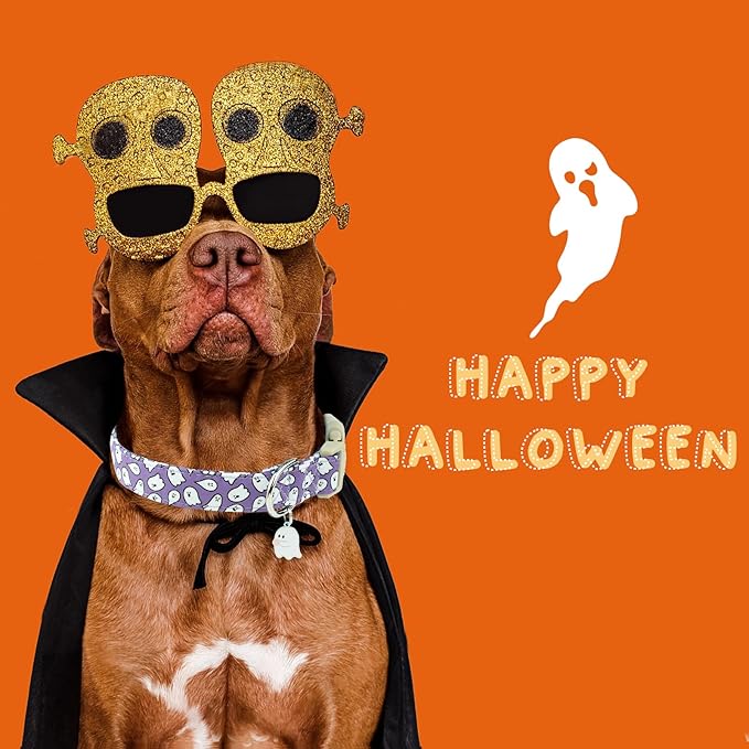 Faygarsle Halloween Dog Collar with Charm, Purple with Ghost Pattern, for Small Medium Large Dogs L