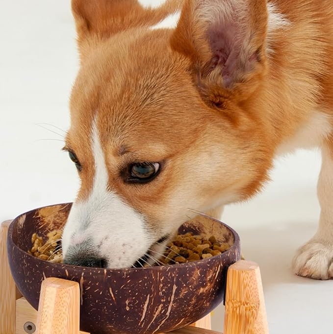 Raised Dog Bowl for Small Dogs - Elevated Natural Coconut Shell Bowl with Wood Stand - Around 20-oz Capacity - Suitable of Wet and Dry Dog Foods