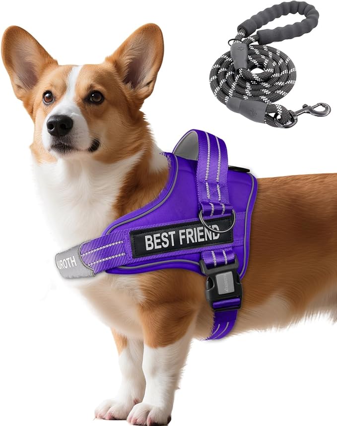 AUROTH Dog Harness and Leash Set, Soft Padded Service Dog Vest with 5.25FT Dog Leash, No Choke, Easy On Pet Vest, Adjustable Reflective No Pull Dog Harness for Large Dogs, Easy Walking and Training