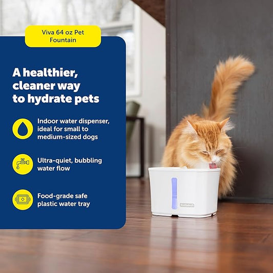 PetSafe Viva Pet Fountain - Encourages Healthy Hydration - Automatic Water Dispenser with Double Filtration - Ultra Quiet Water Fountain - Easy to Assemble & Clean - Stainless Steel - 64 oz