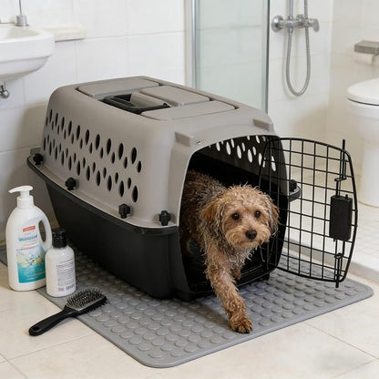 Pet Portable Kennel for Dogs, Hard-Sided Travel Carrier, Durable, Metal Door, Black & Grey, for Pets up to 10 lbs, 19" L x 12.3" W x 10.8" H