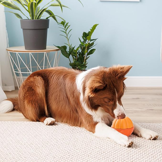 Dog Enrichment Toys, Dog Frozen Treat Toys, Interactive Dog Toys for Large Breeds, Treat Dispensing Dog Toys in Orange Shape