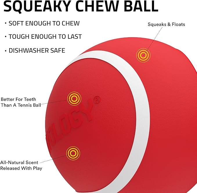 Playology Dog Toys | Squeaky Chew Ball - Bouncy Durable Floating Fetch Ball for Dogs | Medium Grandma's Gravy Scented Toy | Limited Edition Holiday Toys - Made from Non Toxic Materials
